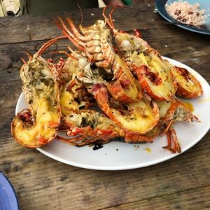 Meet your Posher, Tracy